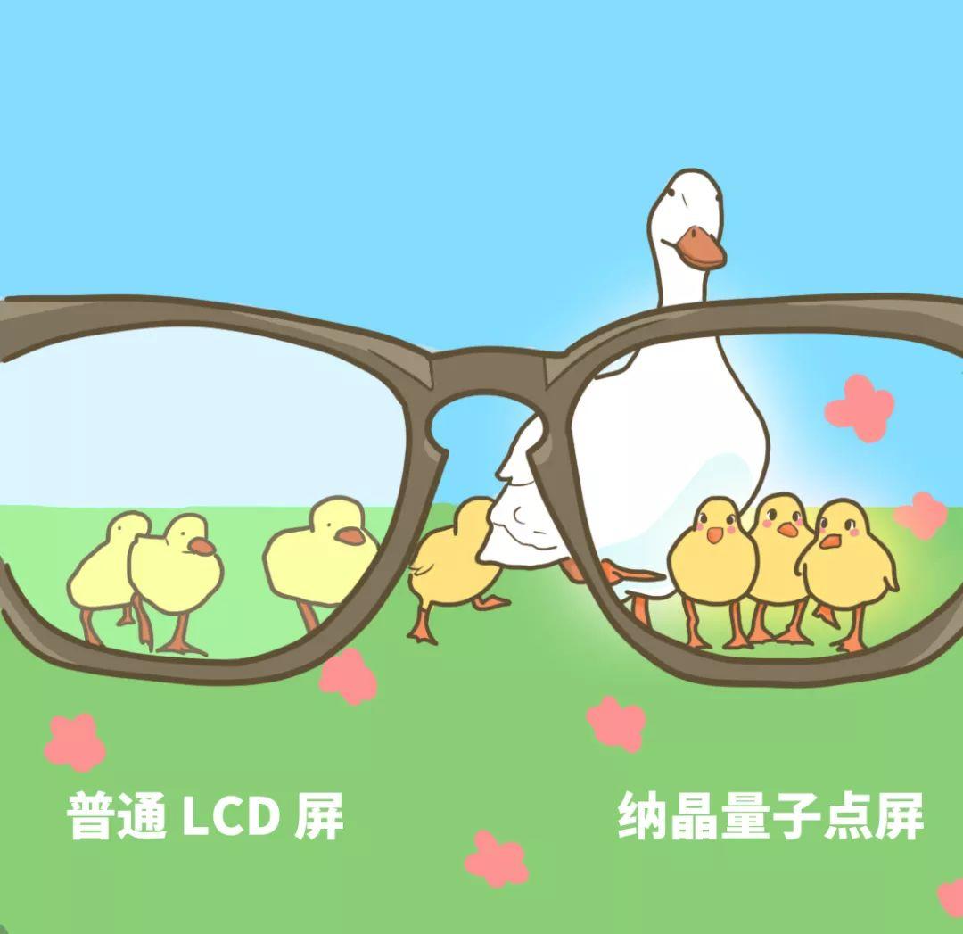 整天对着手机电脑，到底该怎么护眼啊啊啊